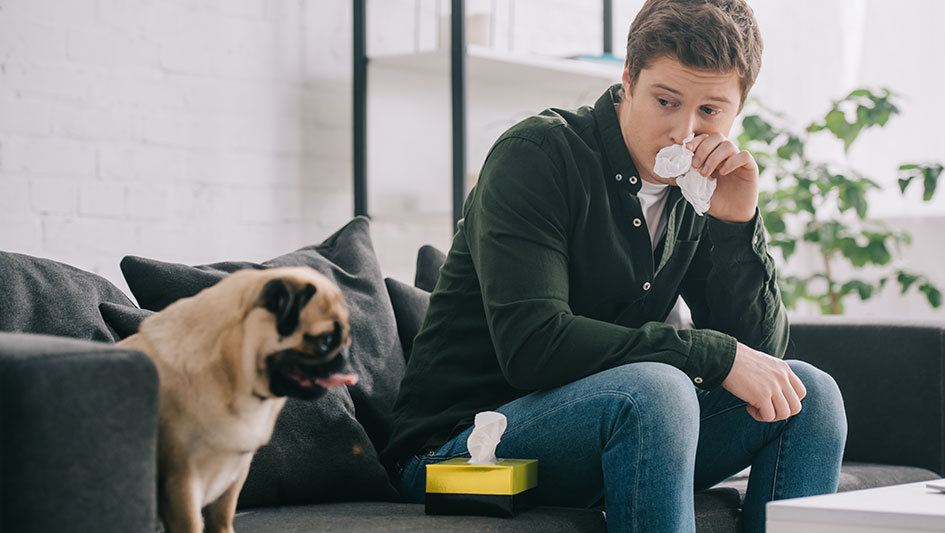 Installing an air purifier is one of the top approaches to improve your home’s indoor air quality. Learn more about the three top options. 